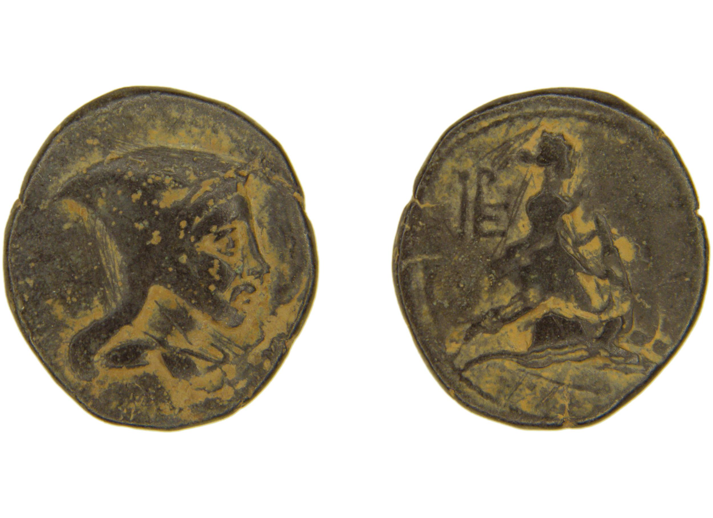obverse Hieracome Hochard 2020 1.5