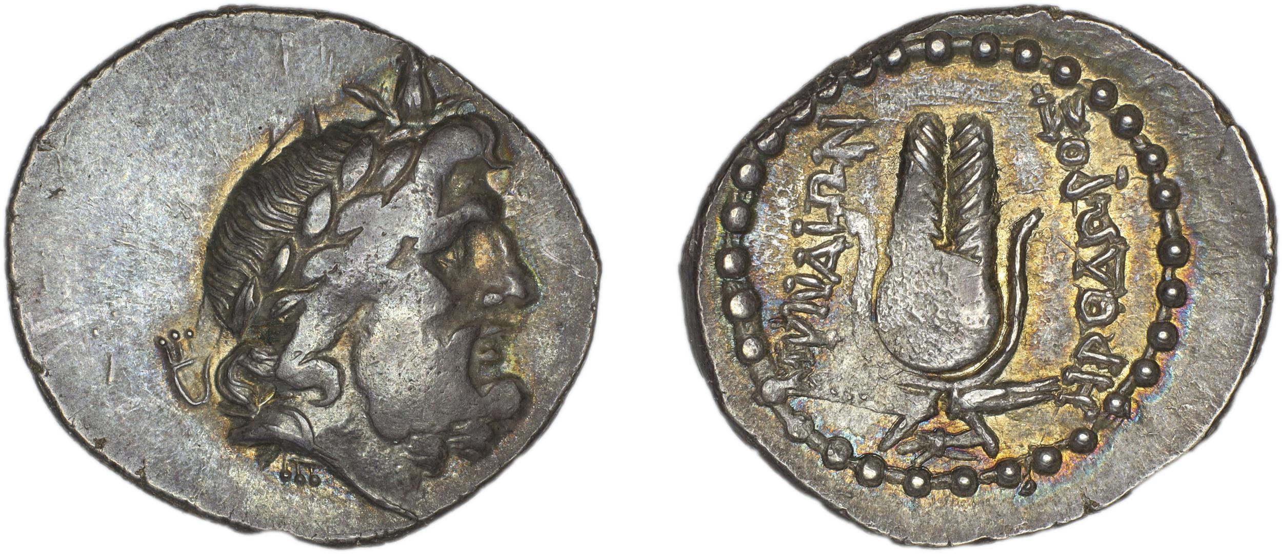 Myndus Zabel and Meadows 2002 Group A, аверс, bm