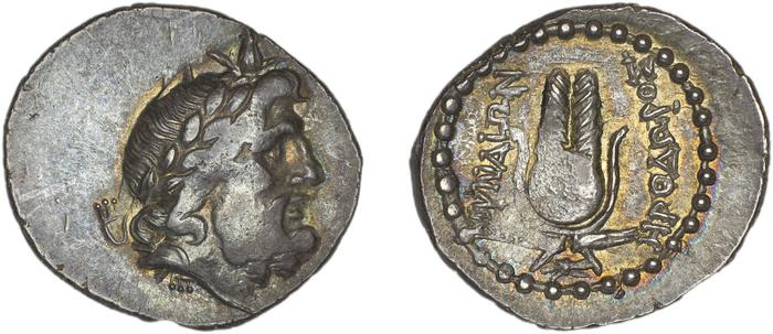 Myndus Zabel and Meadows 2002 Group A, реверс, bm