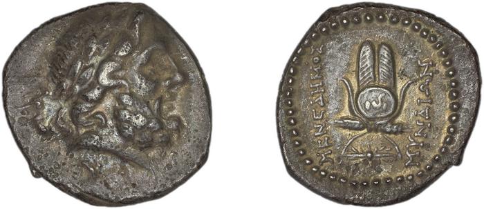 Myndus Zabel and Meadows 2002 Group A, реверс, bm