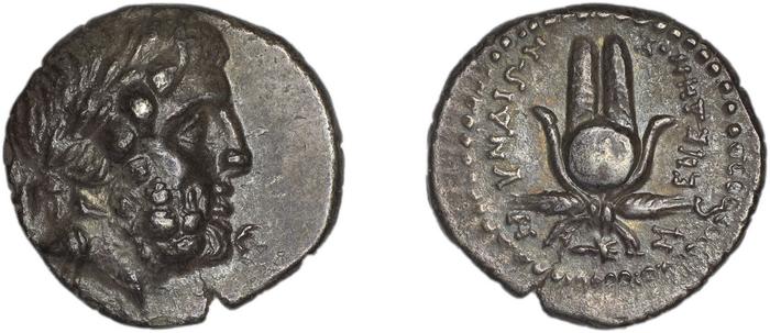 Myndus Zabel and Meadows 2002 Group A, реверс, bm