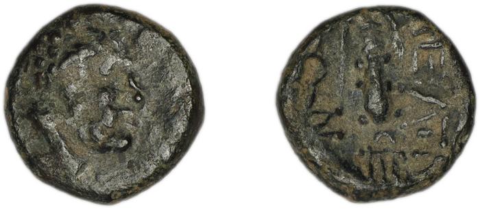 Peltae BMC Peltae 7, реверс, bm