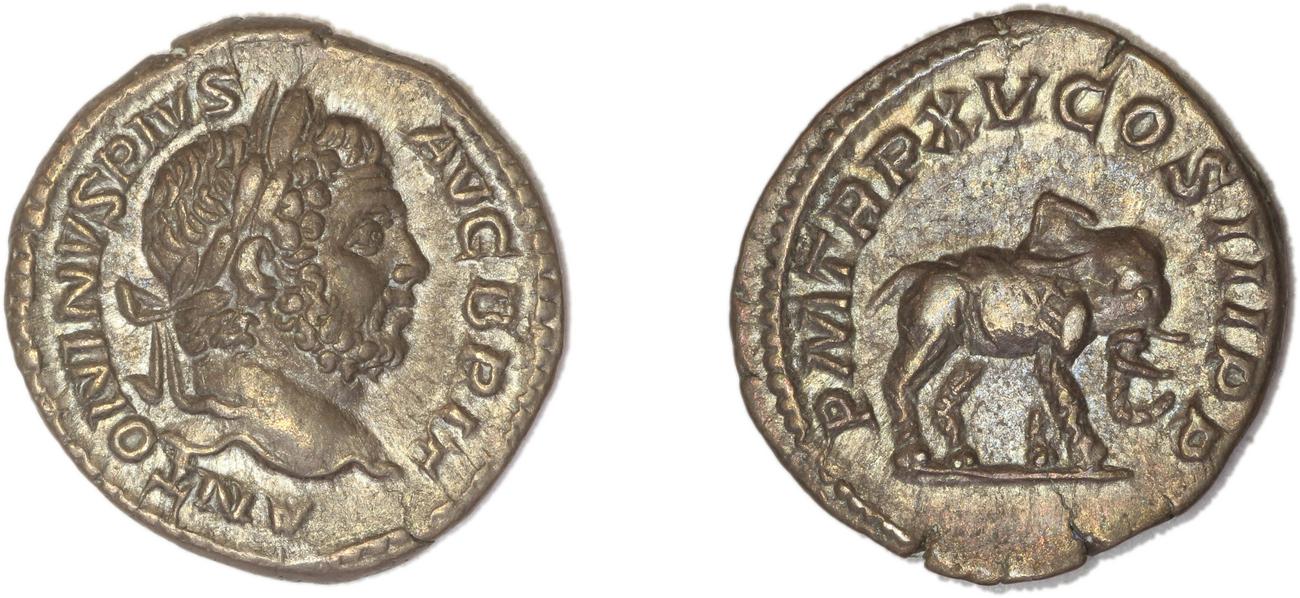 RIC IV Caracalla 199, аверс, Британский музей