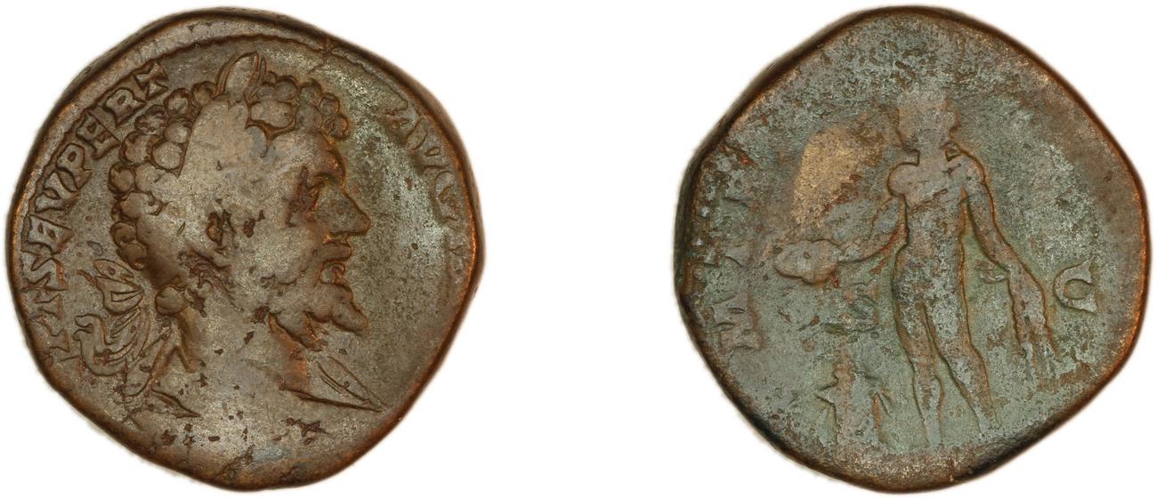 obverse RIC IV Septimius Severus 743