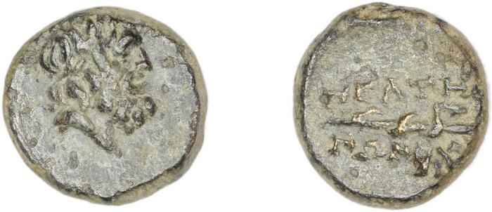 Peltae BMC Peltae 7, реверс, bm
