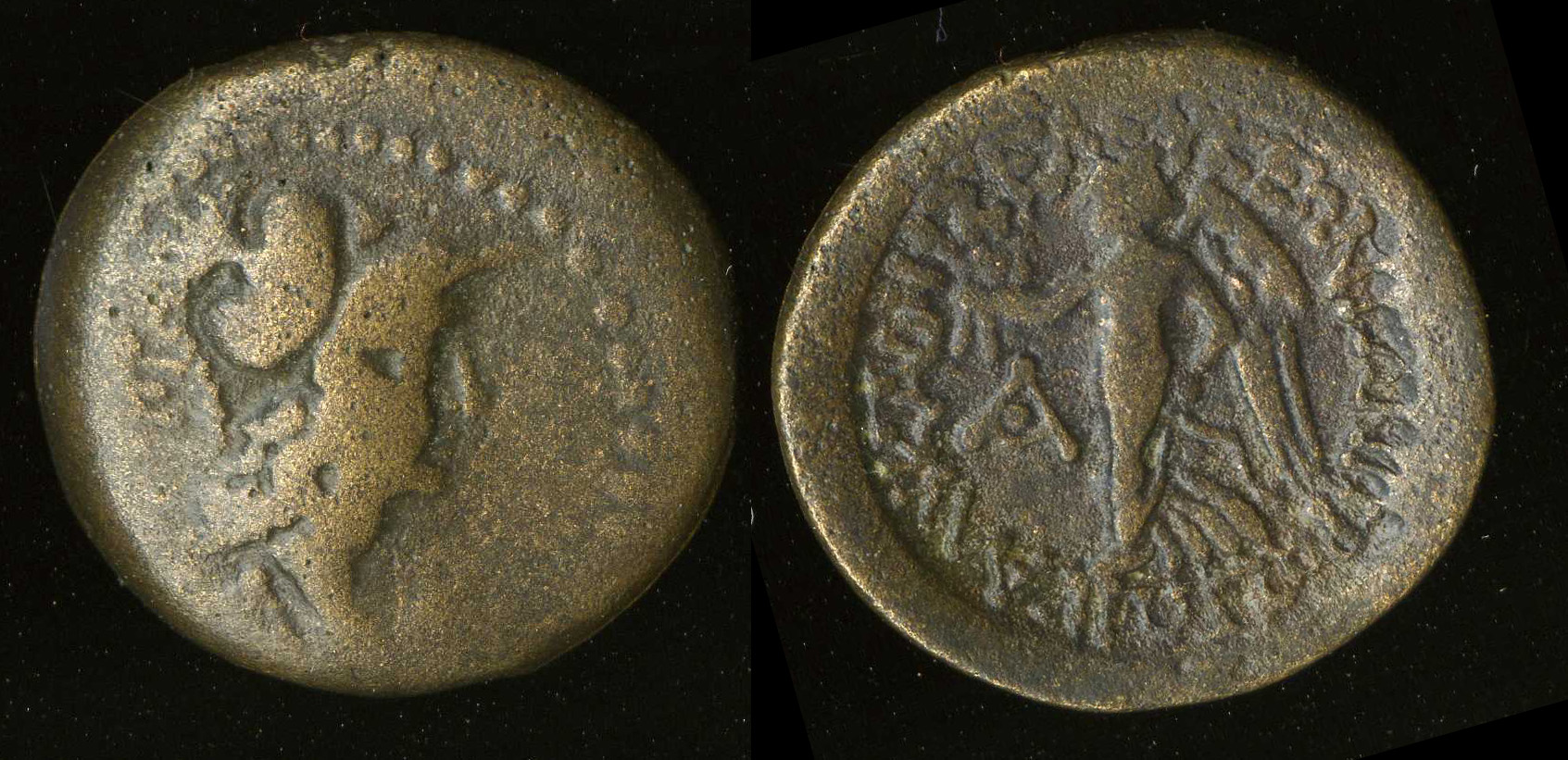 Seleuceia ad Calycadnum SNG Levante 680-9, аверс, bm
