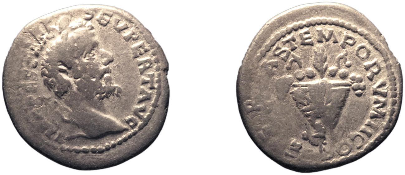 аверс RIC IV Septimius Severus 375
