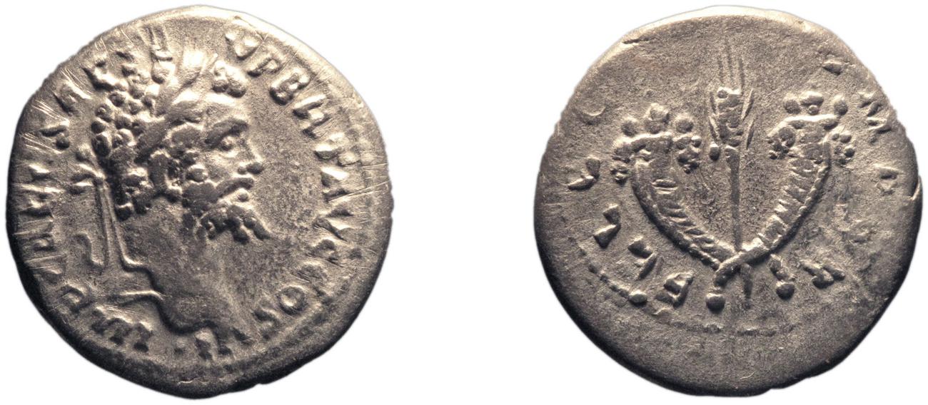 аверс RIC IV Septimius Severus 373