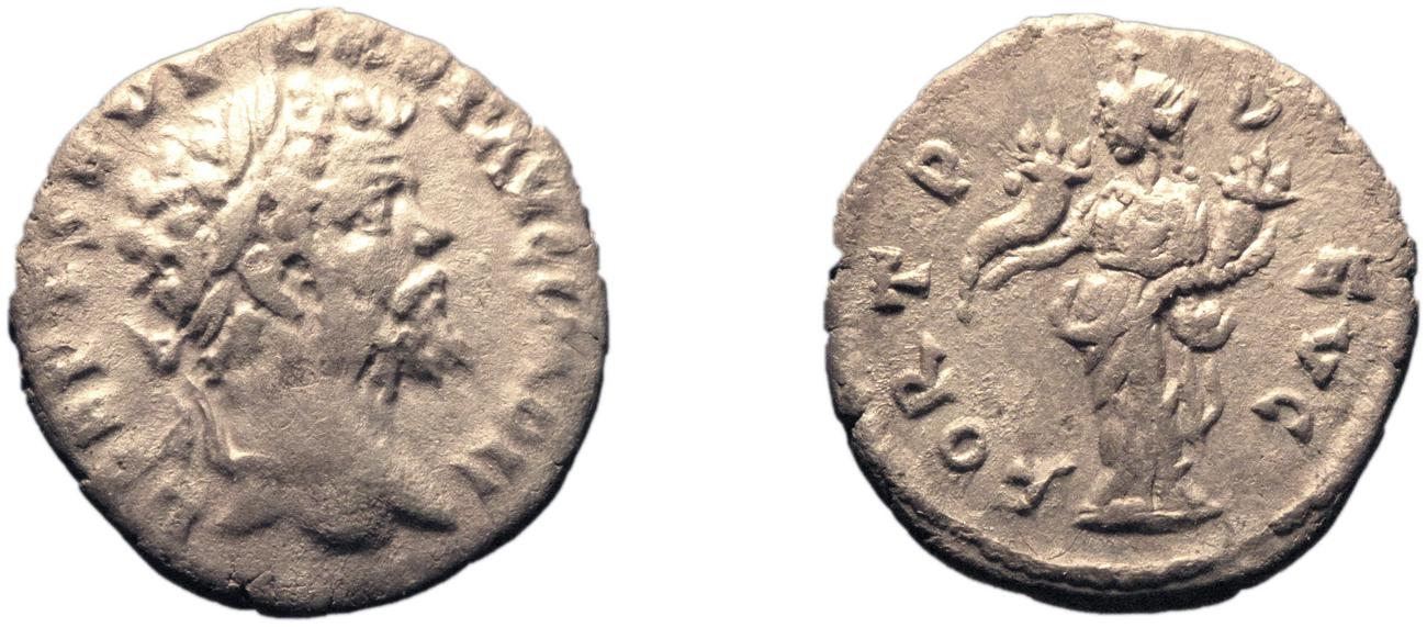 аверс RIC IV Septimius Severus 449A