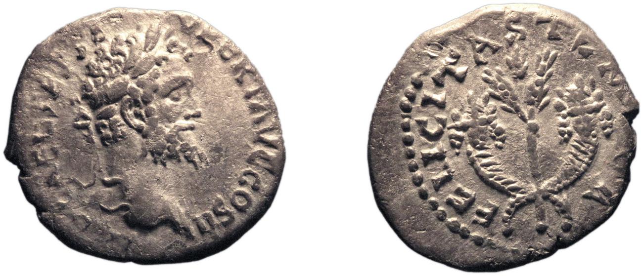 аверс RIC IV Septimius Severus 374A
