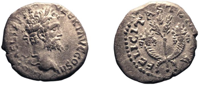 реверс RIC IV Septimius Severus 374A