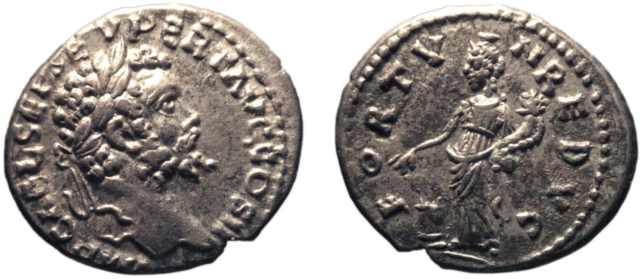 RIC IV Septimius Severus 385, аверс, bm