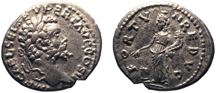 RIC IV Septimius Severus 385, реверс, bm