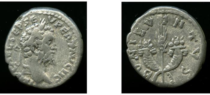 реверс RIC IV Septimius Severus 369A