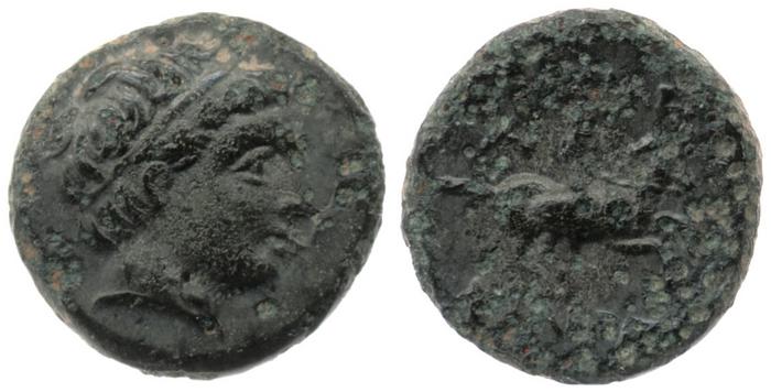 Price P65, реверс, bm