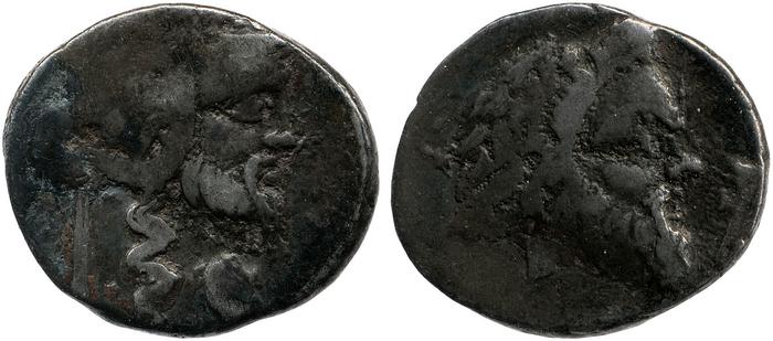 RRC 342/1, реверс, bm