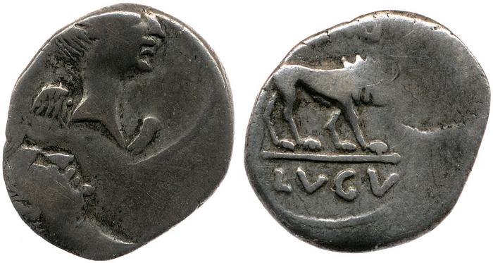 RRC 489/5, реверс, bm