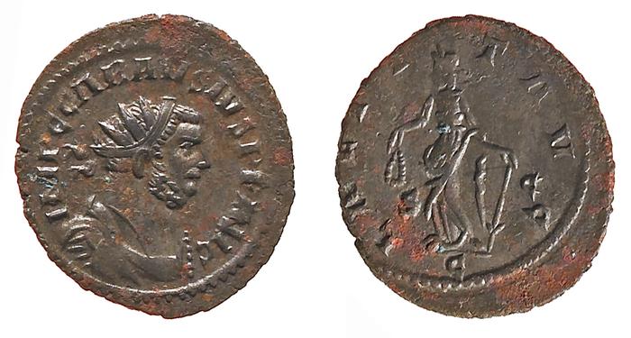 reverse RIC V Probus 255