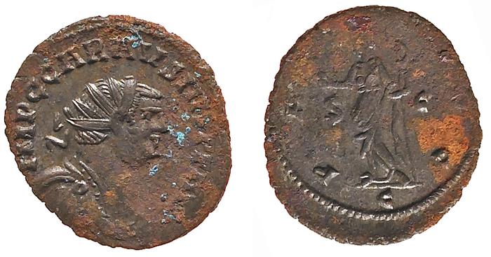 RIC V Probus 300, реверс, bm