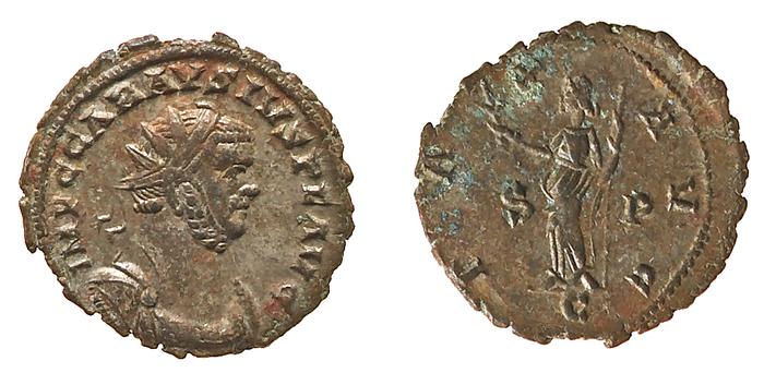 RIC V Probus 300, реверс, bm
