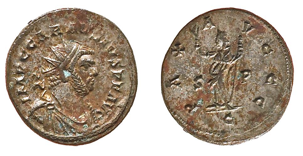 RIC V Probus 334, аверс, bm