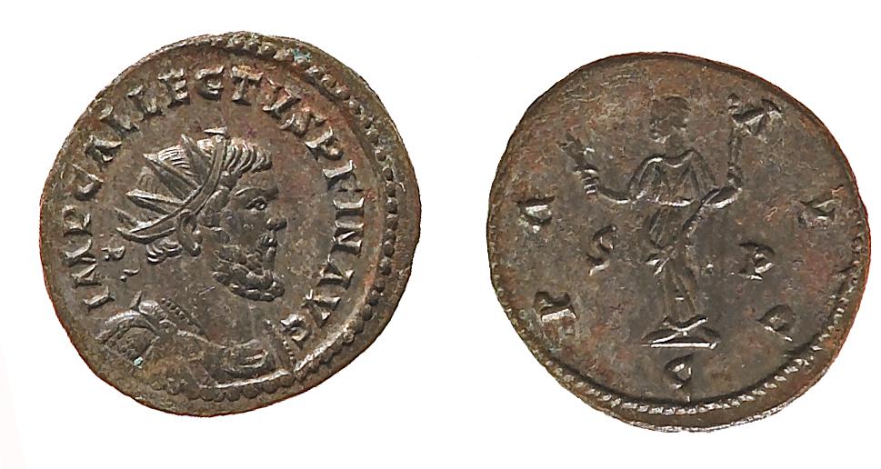 аверс RIC V Diocletian 89