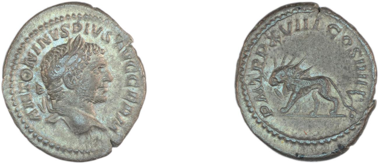 obverse RIC IV Caracalla 273E