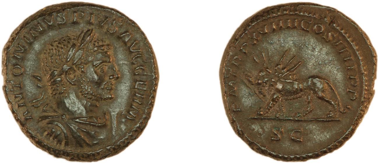 obverse RIC IV Caracalla 564B