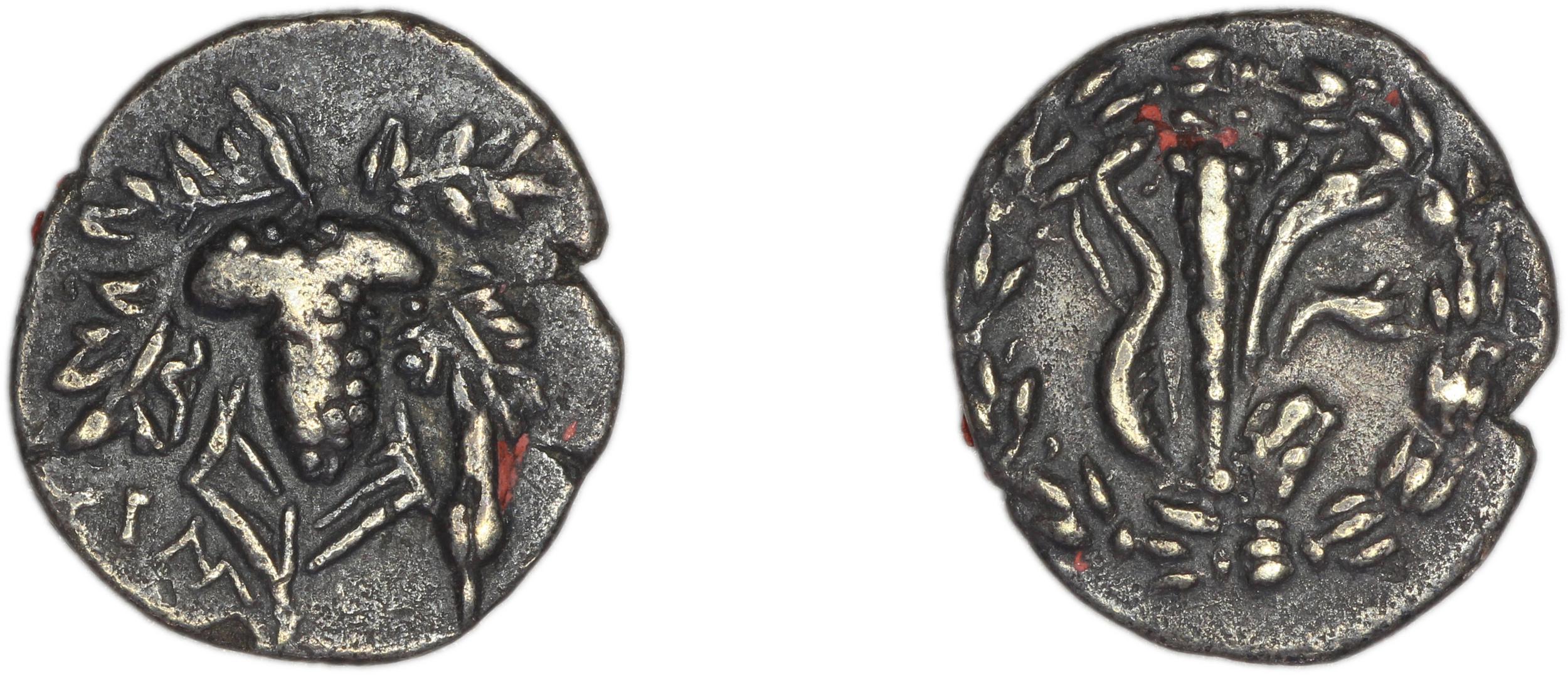 obverse Tralles Kleiner and Noe 1977 12, drachms