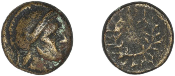 Calymna BMC Calymna 30-36, реверс, bm