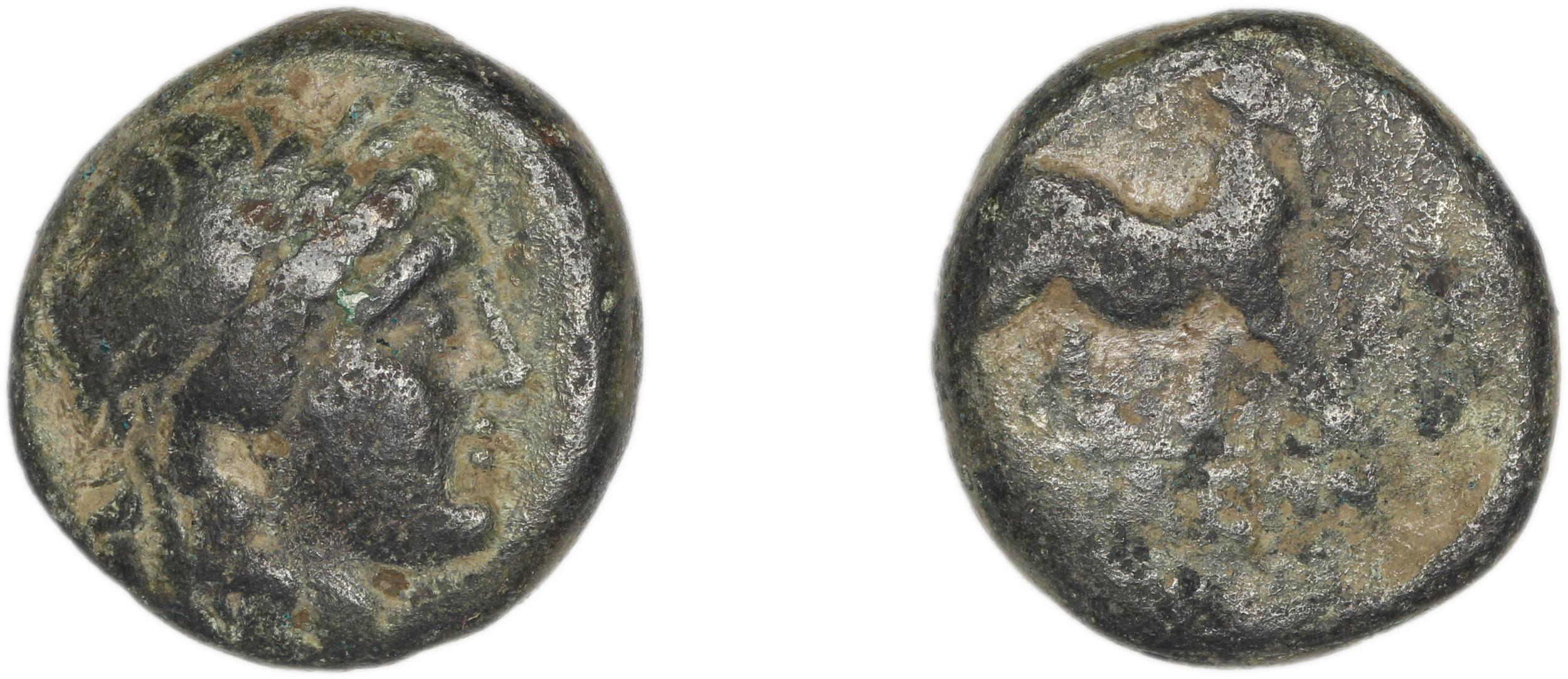 Aegae, Aeolis BMC Aegae 10, аверс, bm