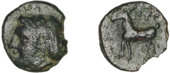 Pyrrha BMC Pyrrha 1-3, реверс, bm