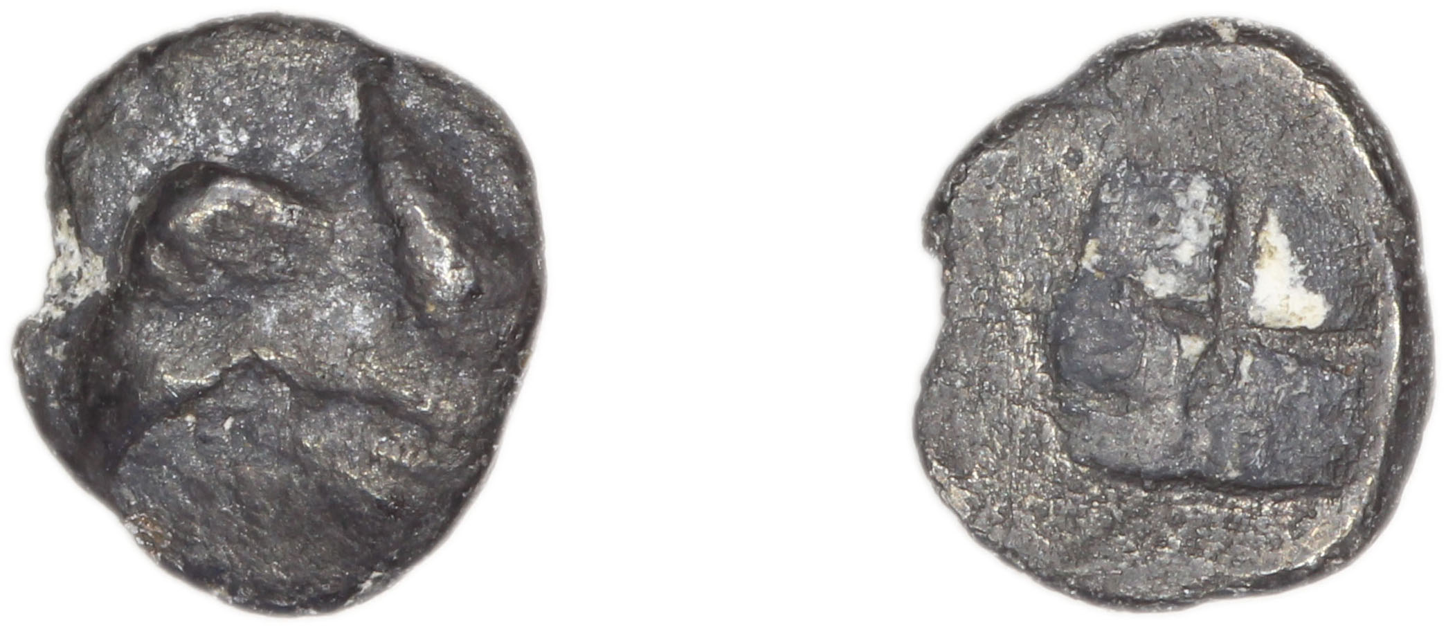 Phocaea Babelon 1907 523-9, аверс, bm