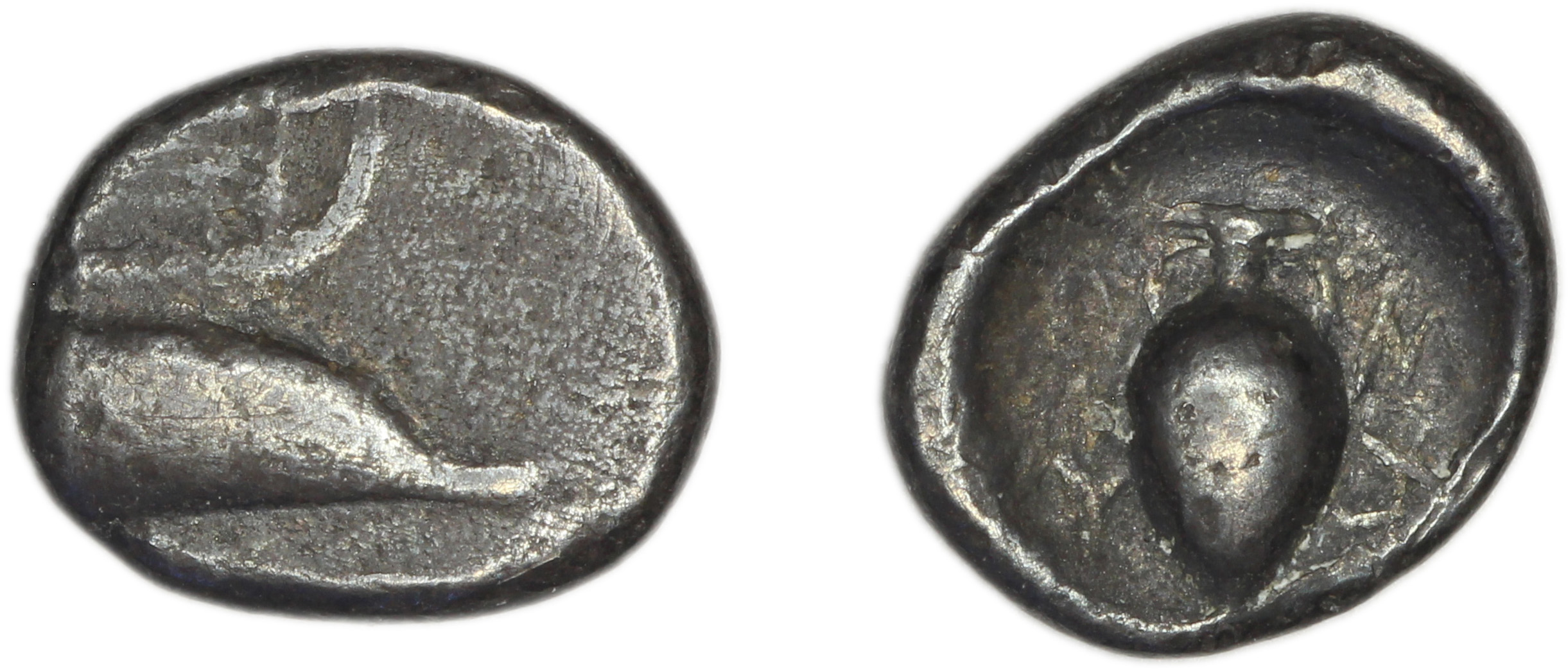 Samos Barron 1966 Samian trihemiobols, аверс, bm