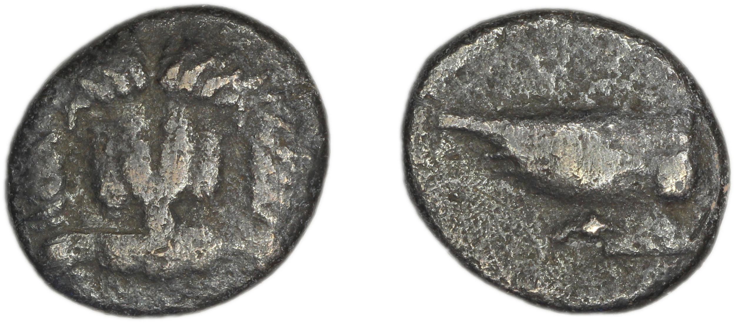 Samos Barron 1966 Class X diobols, аверс, bm