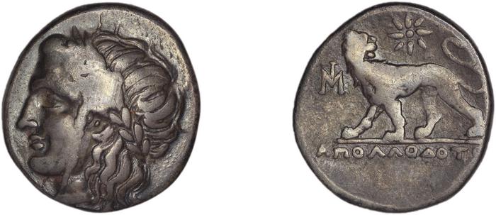 реверс Miletus Marcellesi 2004 8