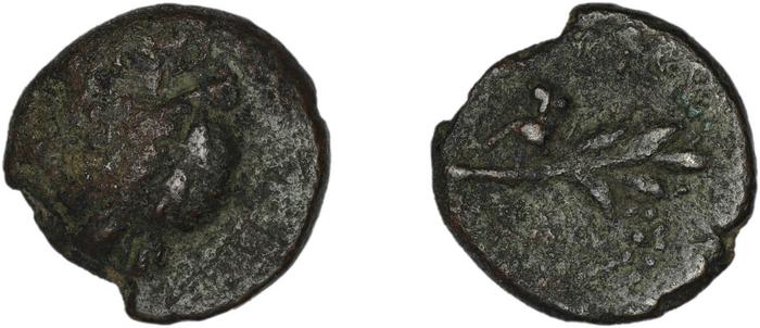 Myndus BMC Myndus 24-32, реверс, bm