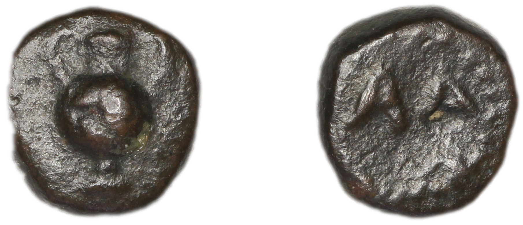 аверс Larissa Phriconis British Museum  G785