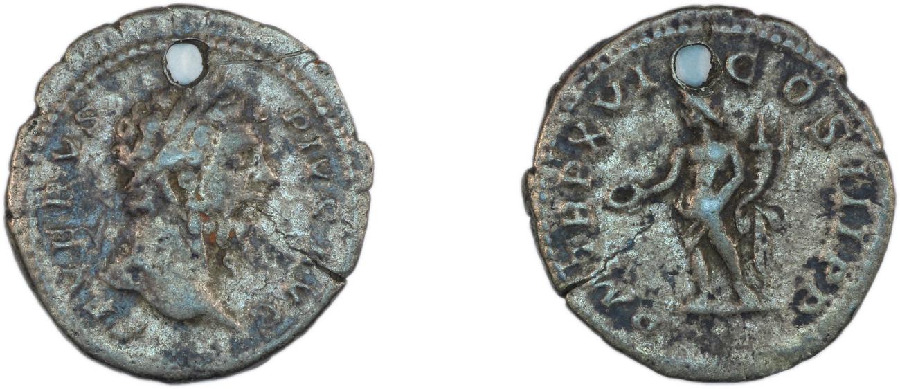 obverse RIC IV Septimius Severus 219