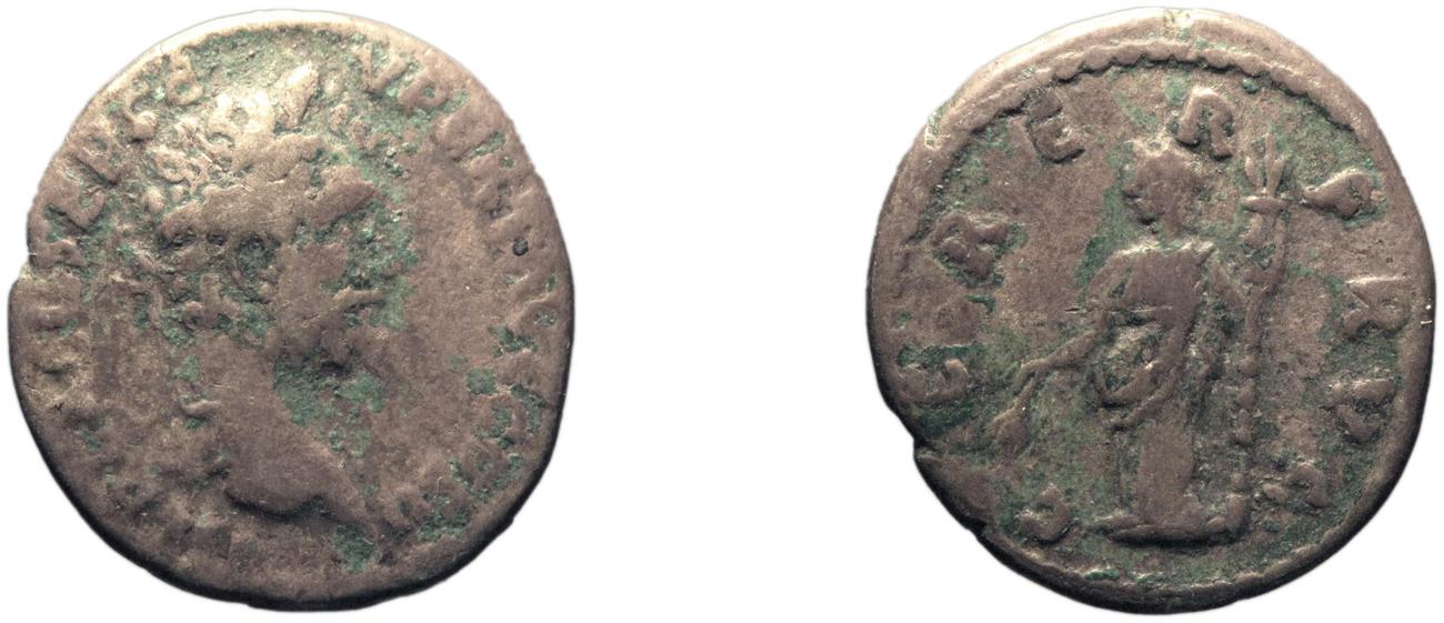 аверс RIC IV Septimius Severus 370