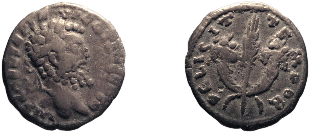 RIC IV Septimius Severus 373, аверс, bm