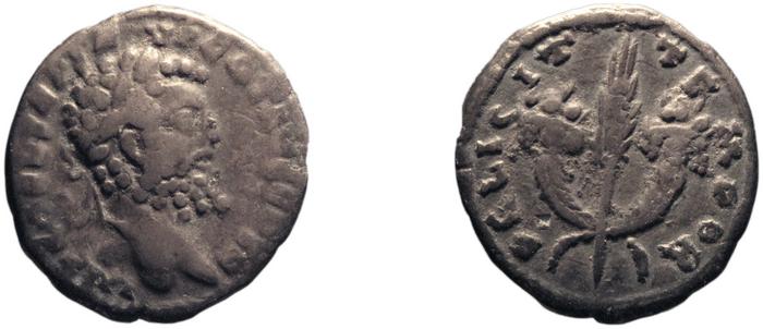 RIC IV Septimius Severus 373, реверс, bm