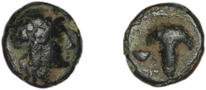 Temnus BMC Temnus 9, реверс, bm
