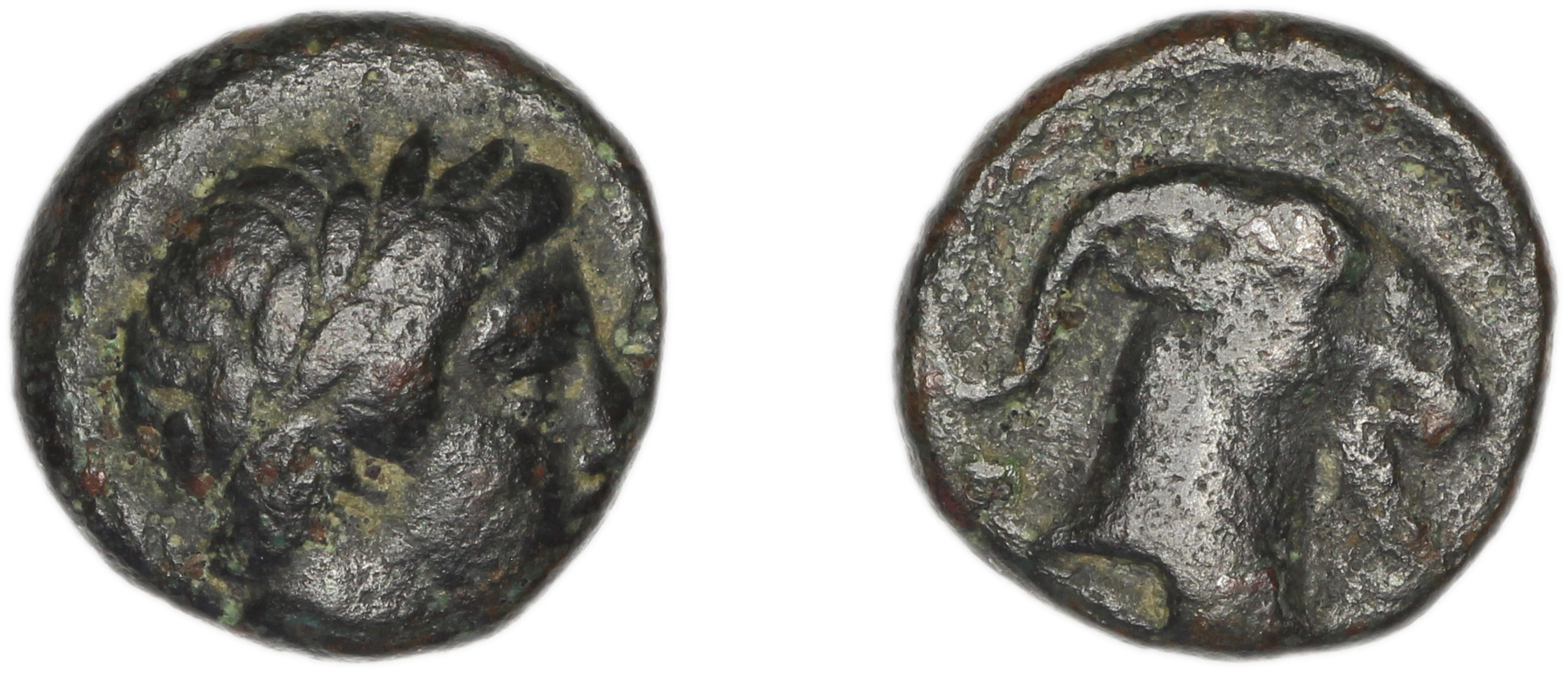 Aegae, Aeolis BMC Aegae 2, аверс, bm