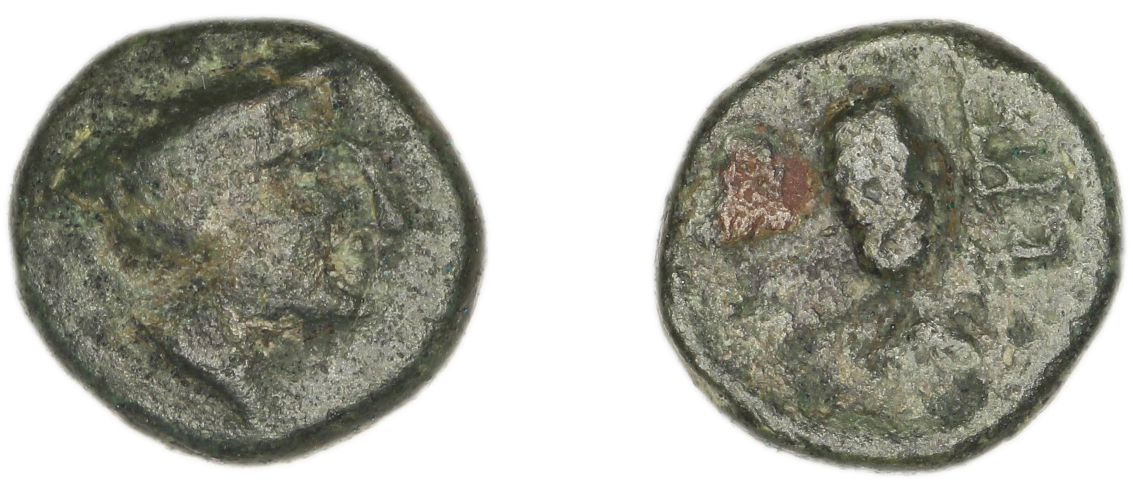 Eresus Hoover 2010 882, аверс, bm