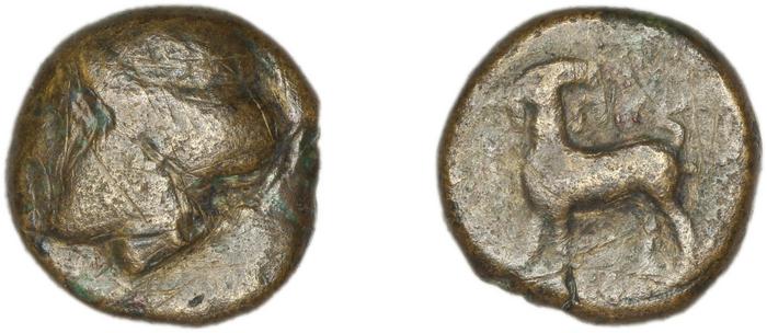 Pyrrha BMC Pyrrha 1-3, реверс, bm