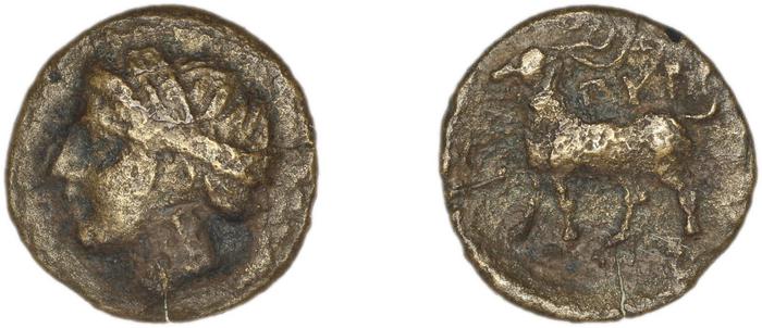 Pyrrha BMC Pyrrha 1-3, реверс, bm