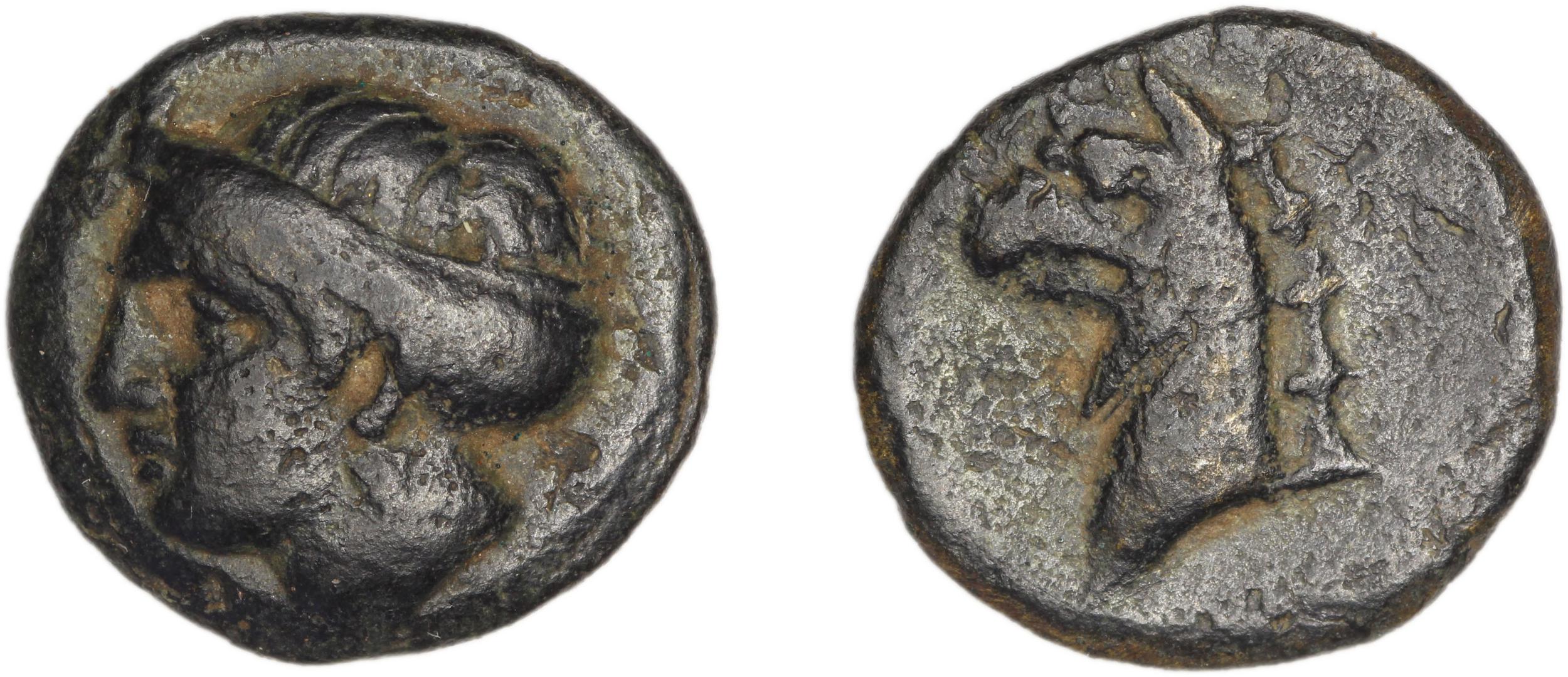 Phocaea BMC Phocaea 91-3, аверс, bm