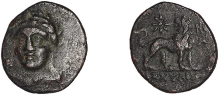 реверс Miletus Marcellesi 2004 39