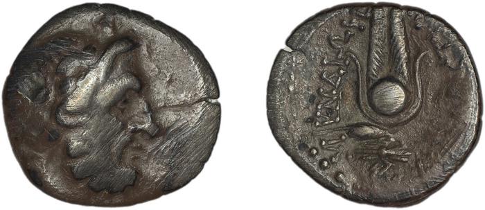 Myndus Zabel and Meadows 2002 Group A, реверс, bm